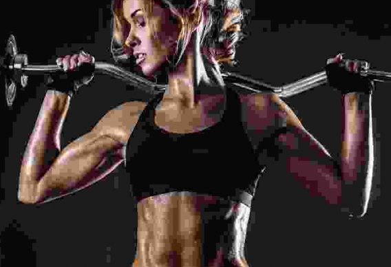 Stretches & Crunches